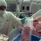 Illustration for article titled Report Shows Just How Disgusting Fast Food Can Be